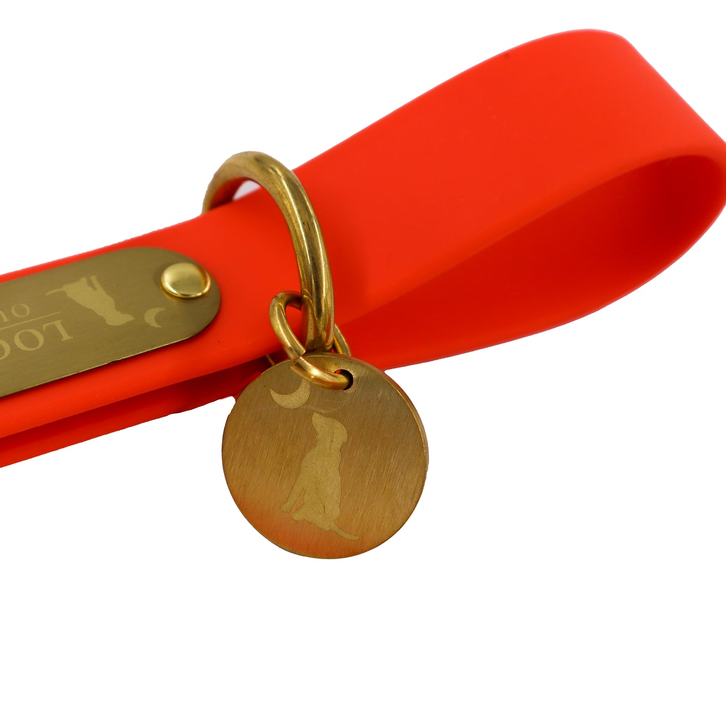 Waterproof Dog Leash