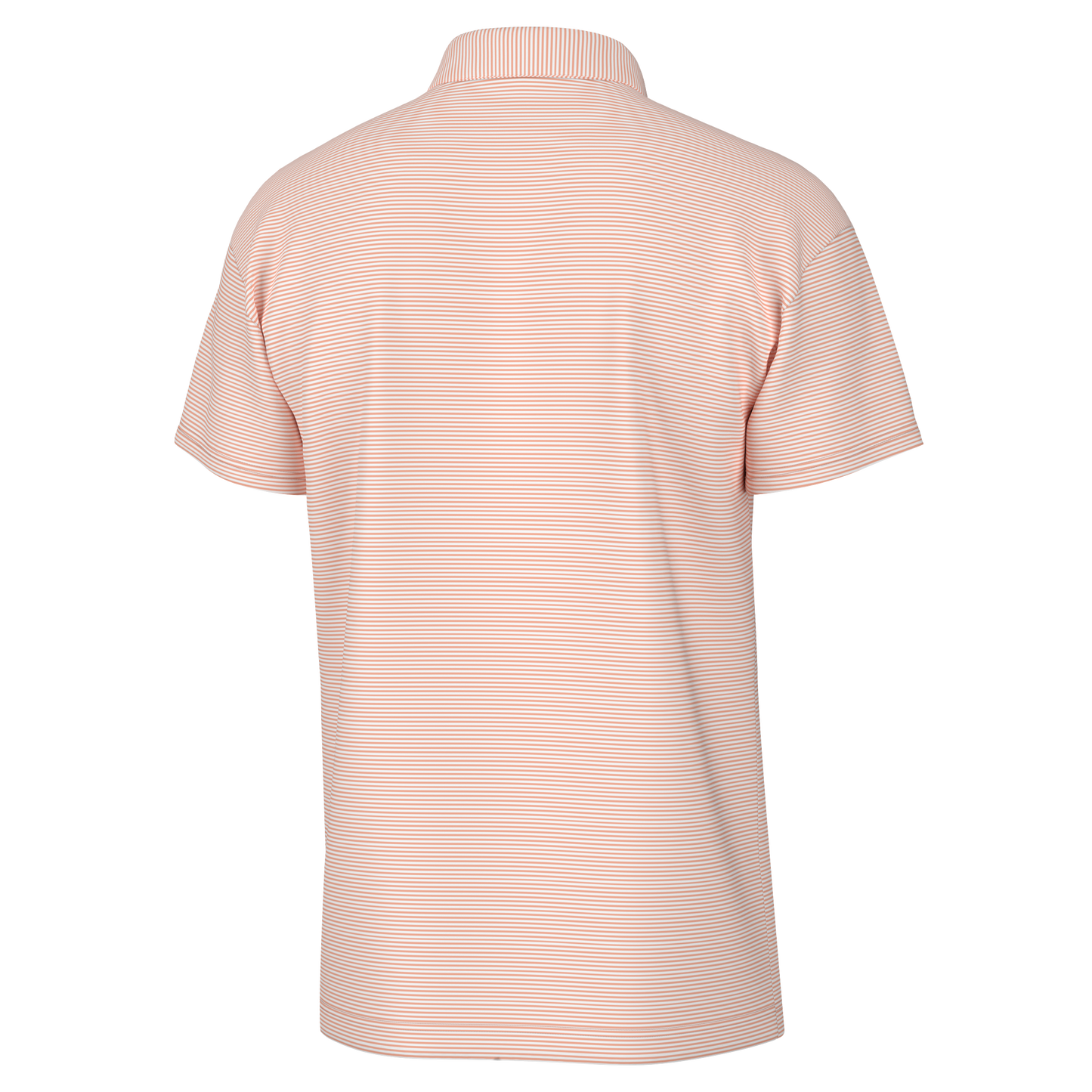 Youth Palms Polo