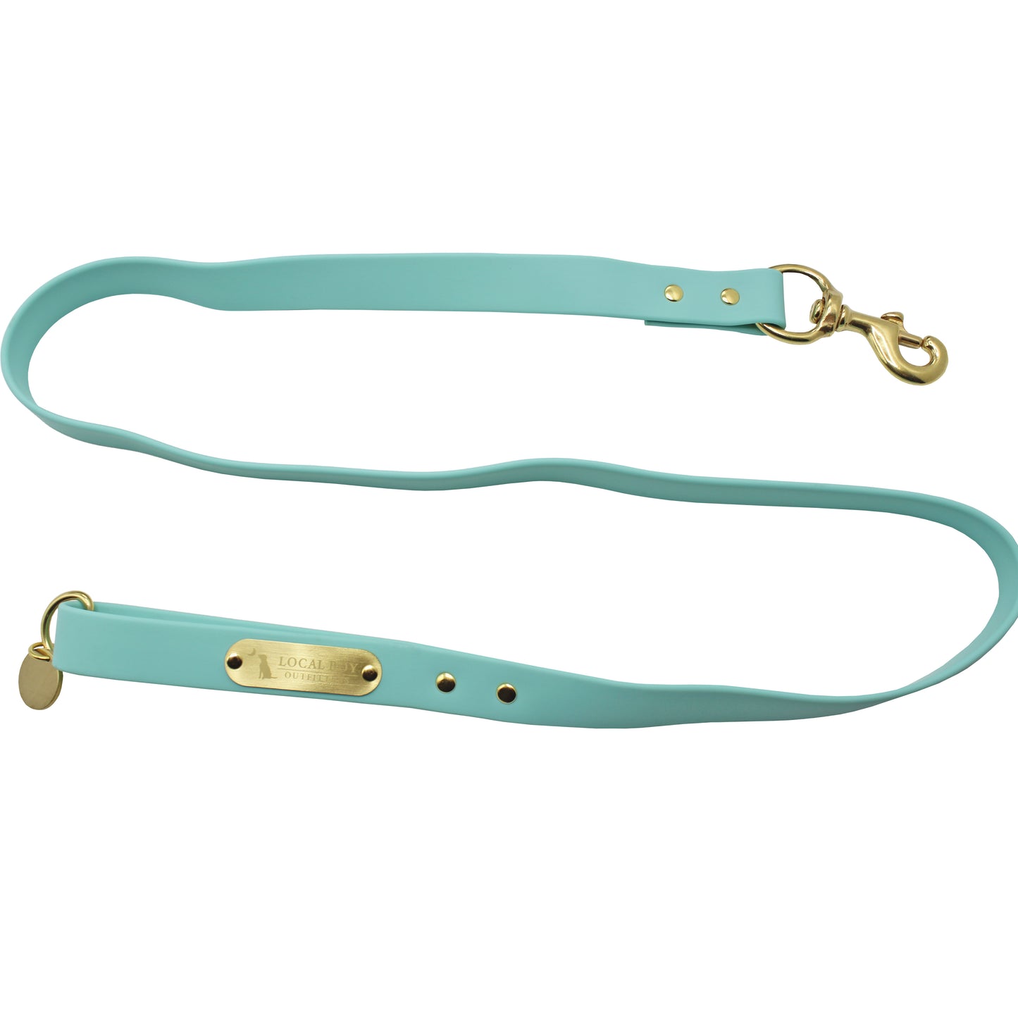Biothane Dog Leash - Mint