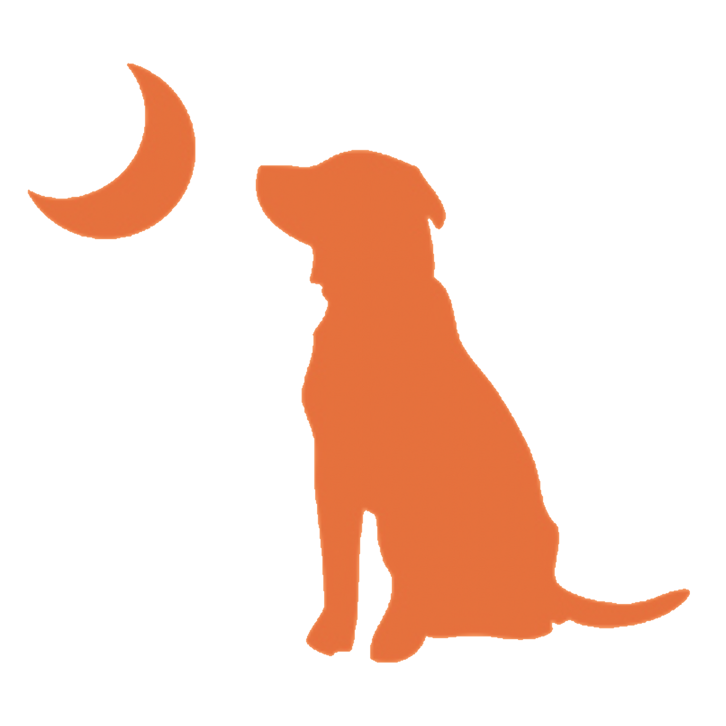 Local Boy Dog & Moon Decal - Orange