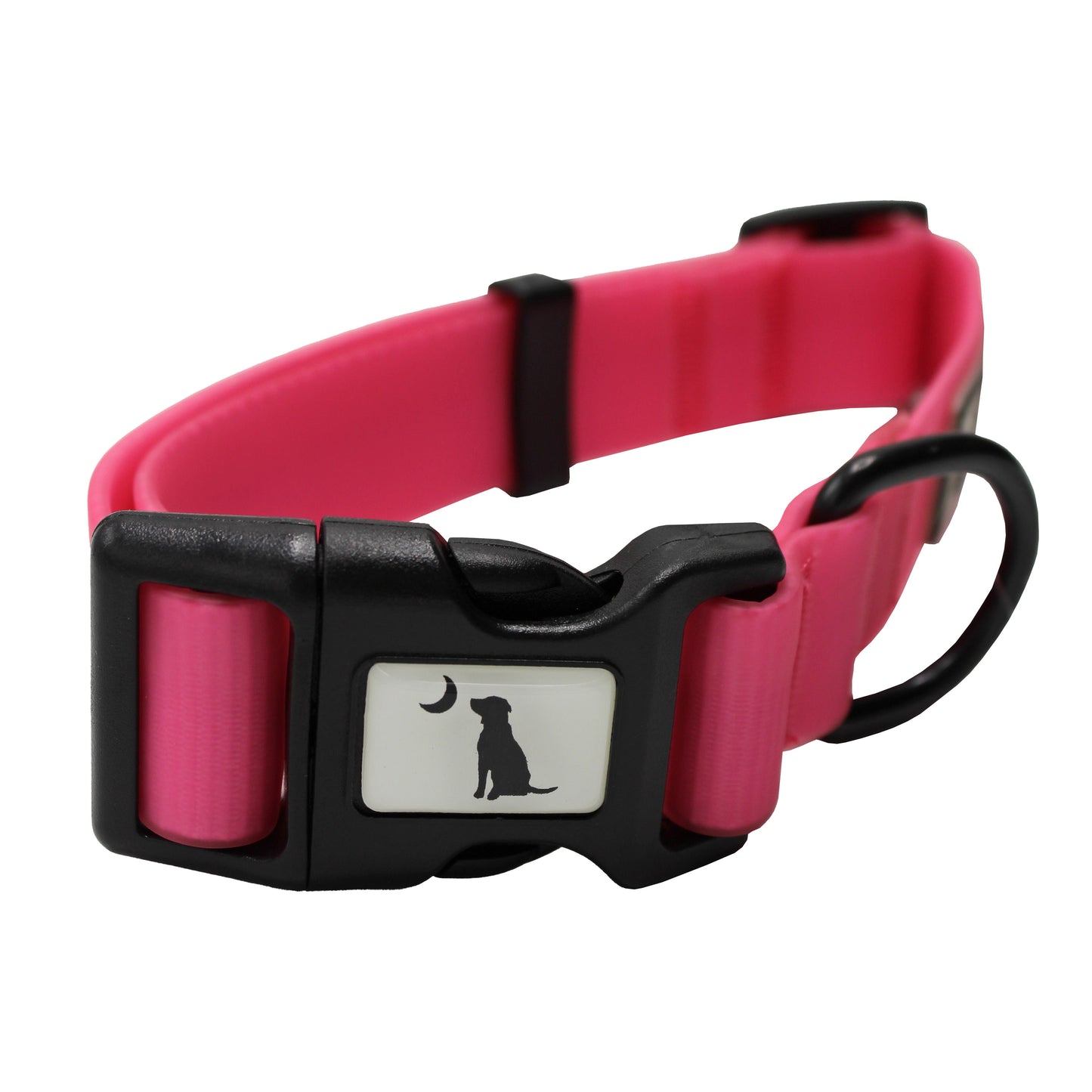 Dog Collar