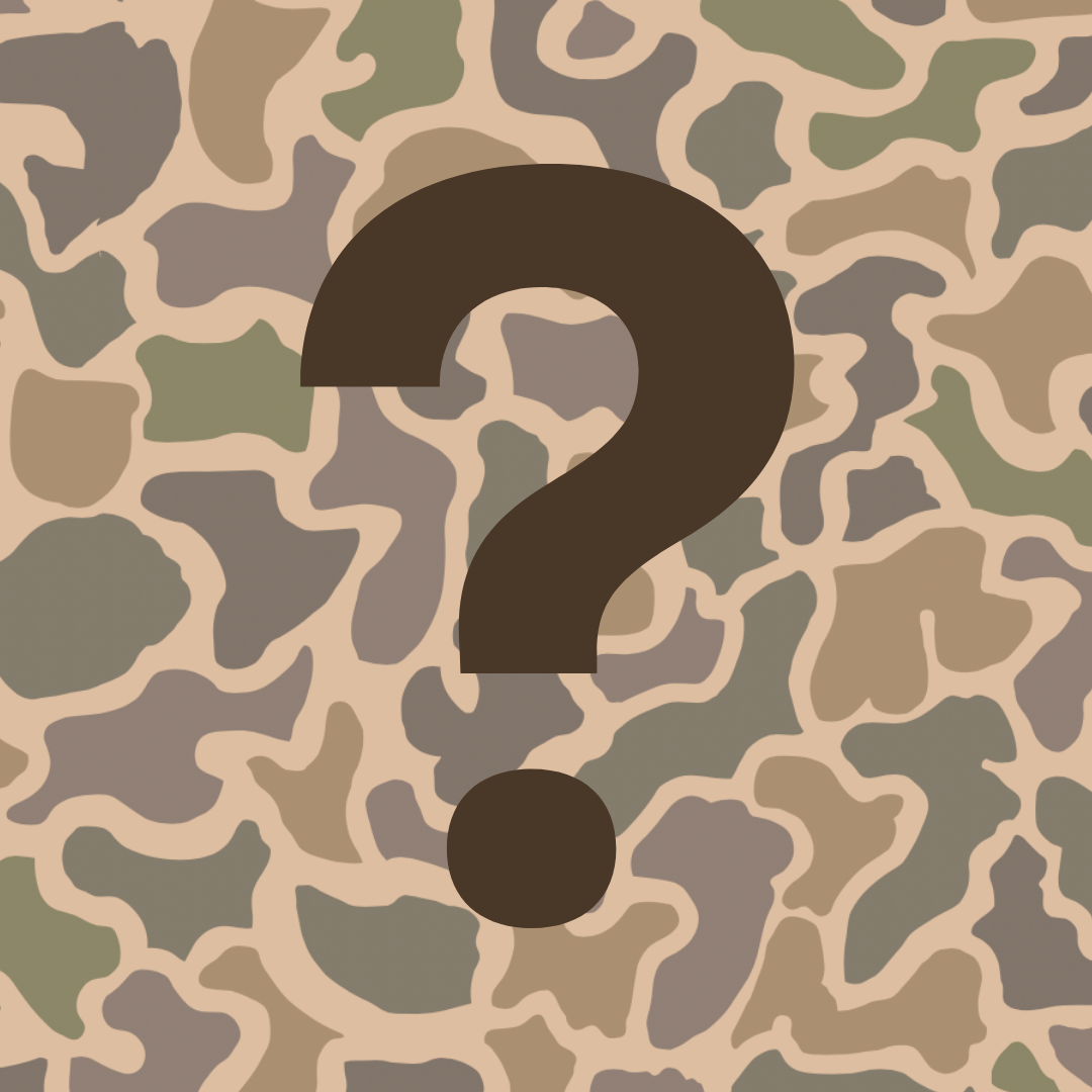 Mystery T-Shirt | Adult Women's