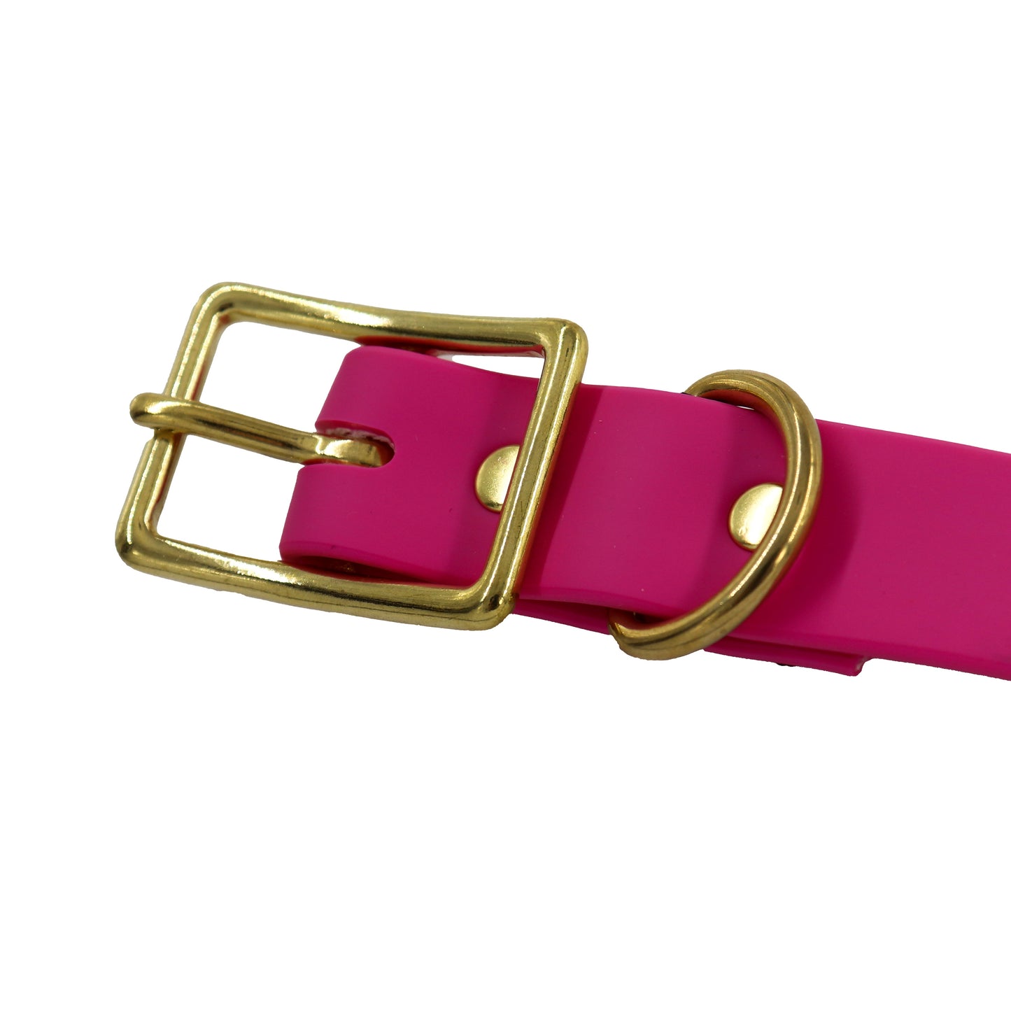 Biothane Dog Collar - Orange