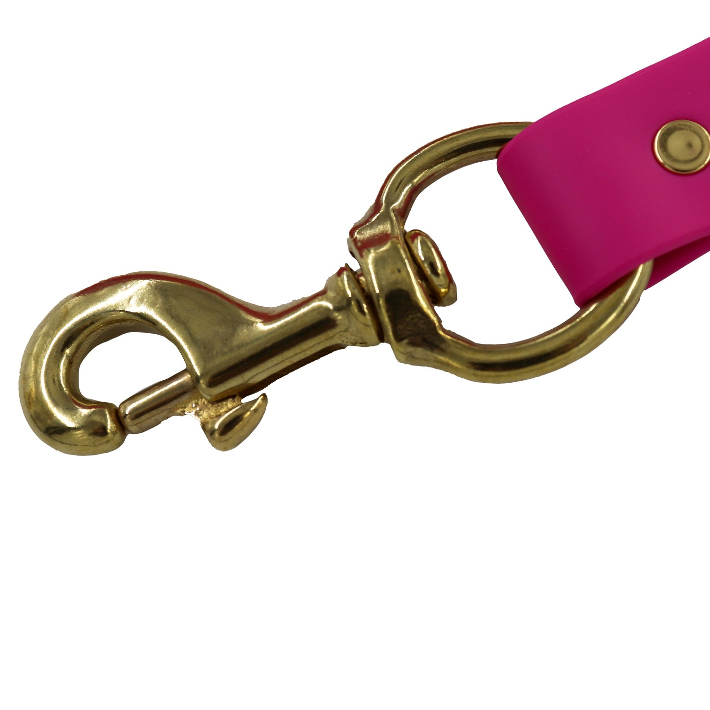 Biothane Dog Leash - Orange