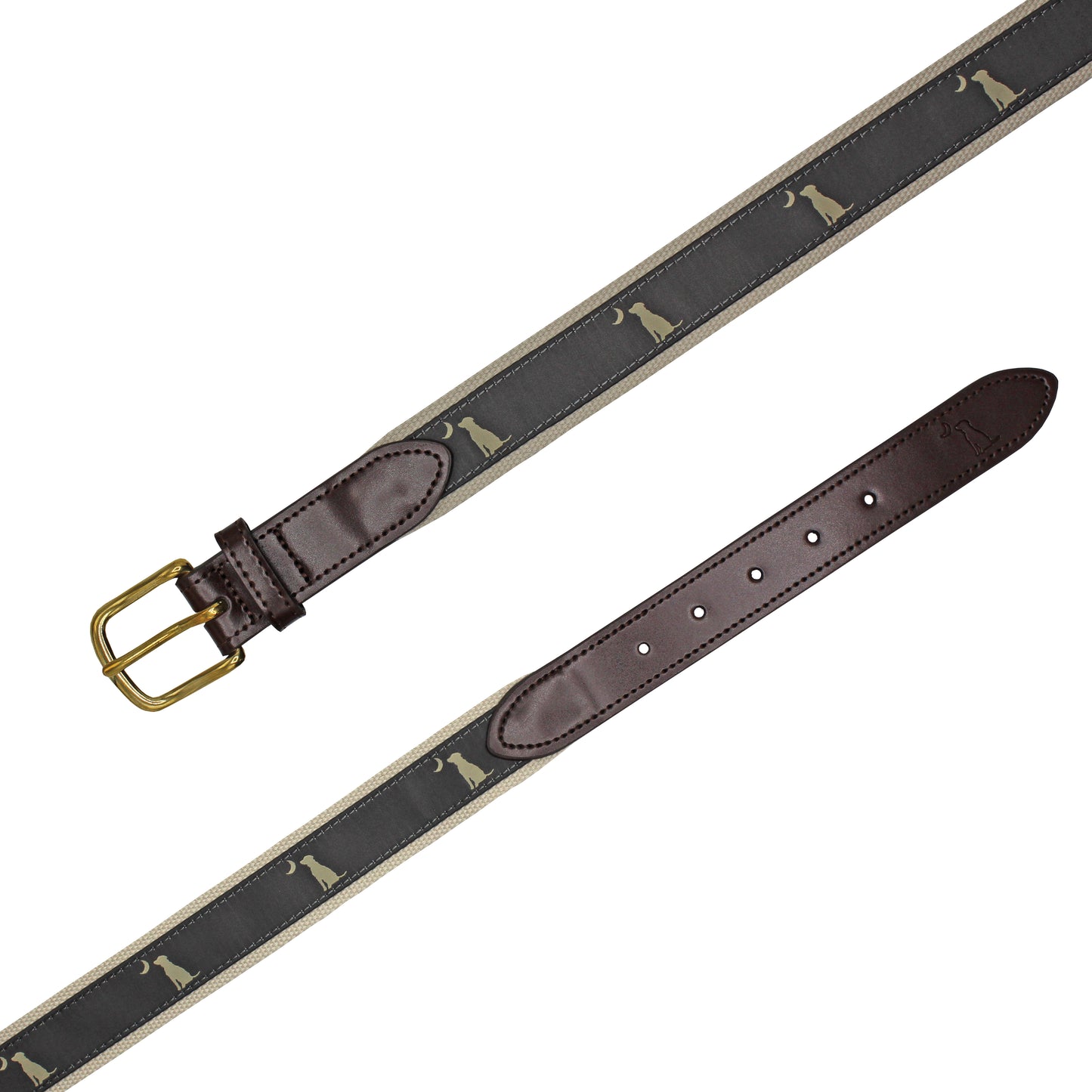 Ribbon Belt