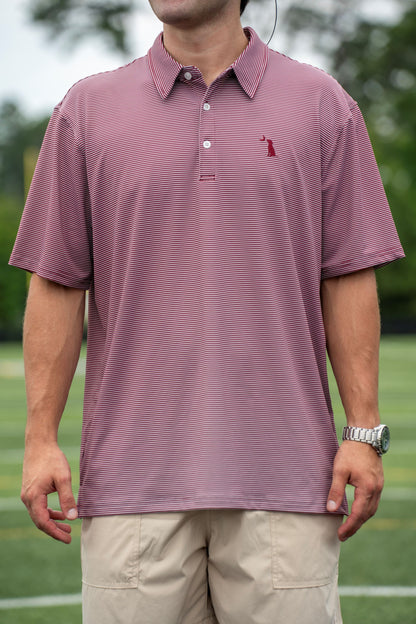 Collegiate Palms Polo - Maroon/Light Gray