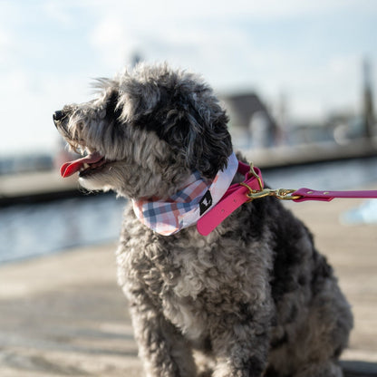 Biothane Dog Collar - Pink