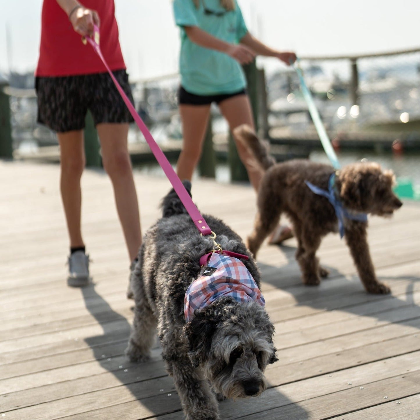 Biothane Dog Leash - Brown