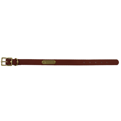 Biothane Dog Collar - Orange