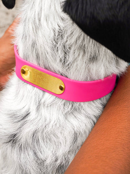Biothane Dog Collar - Brown