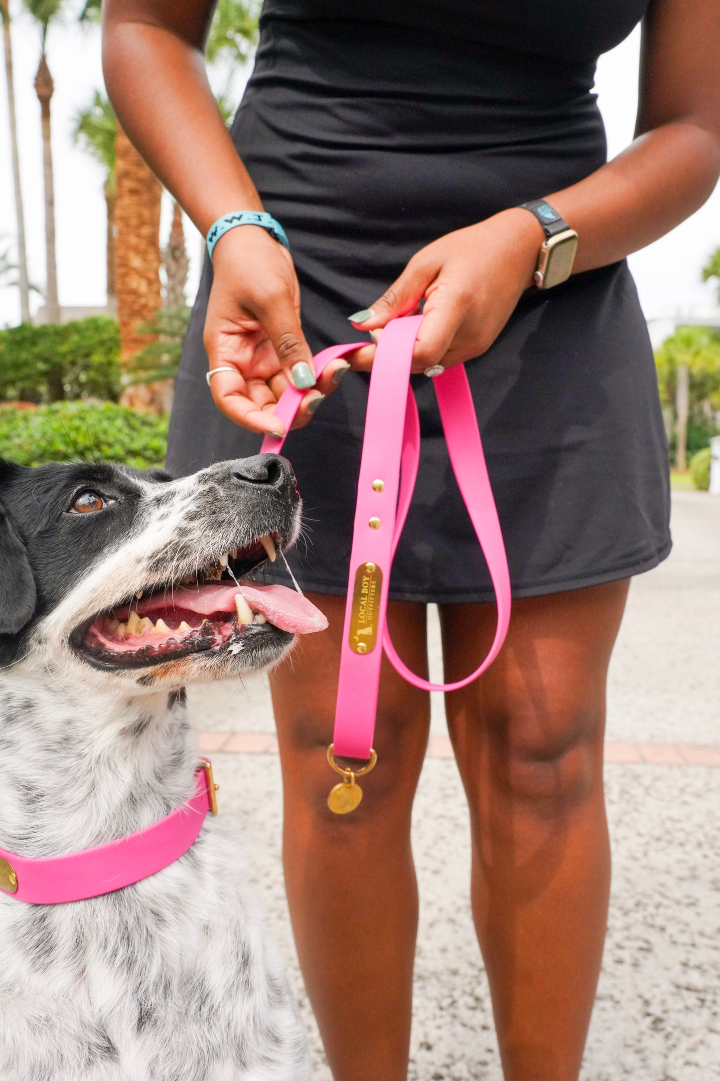 Biothane Dog Leash - Brown