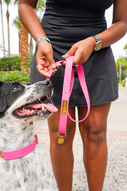 Biothane Dog Leash - Brown