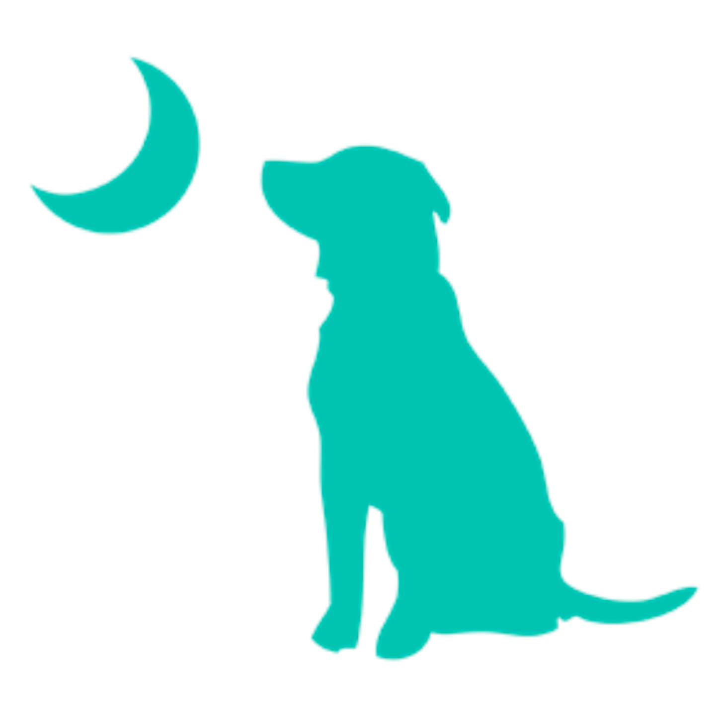 Local Boy Dog & Moon Decal - Mint