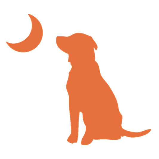 Local Boy Dog & Moon Decal - Orange