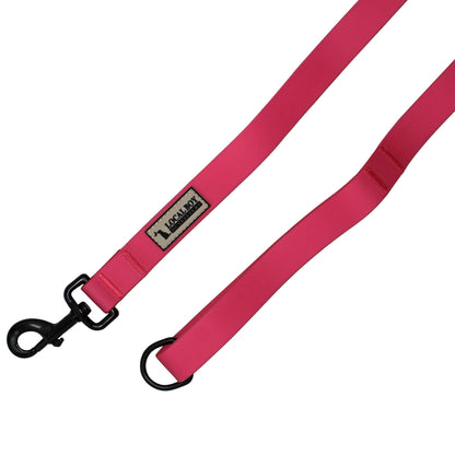 Dog Leash