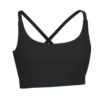 LG Sports Bra - Localflage Bluff
